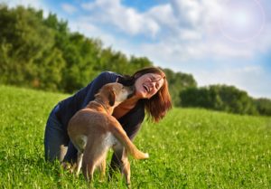 Hundehaftpflichtversicherung